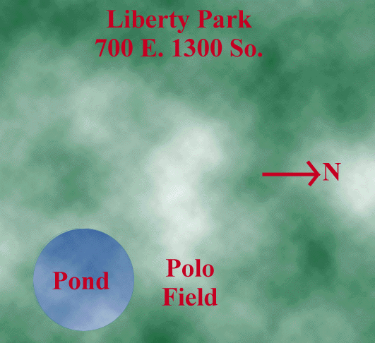 Bike Polo Field Map